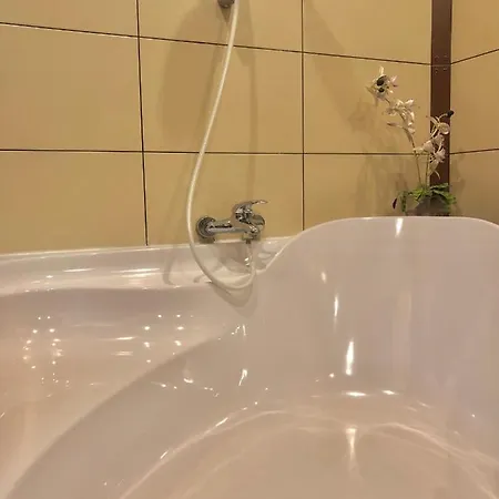 ゲストハウス тіна