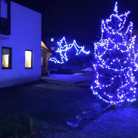 Guest house тіна