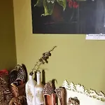 Guest house тіна